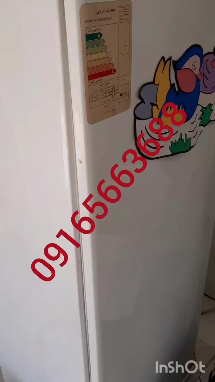 تعمیرات تخصصی یخچال فریزر کولرگازی باضمانت|خدمات پیشه و مهارت|بوشهر, |دیوار