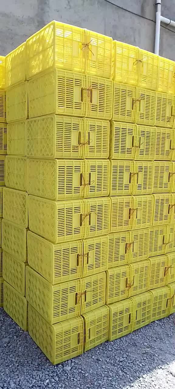 سبد ۲۵ کیلویی با کیفیت درجه یک|عمده‌فروشی|ساری, |دیوار