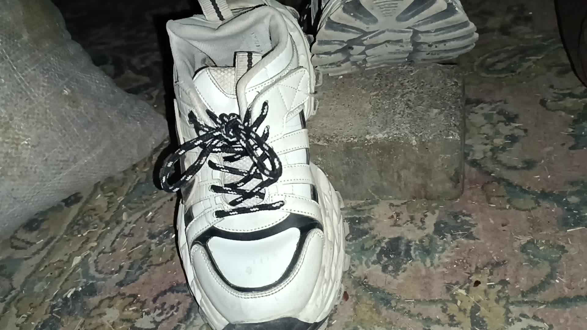 running|تجهیزات ورزشی|قائن, |دیوار
