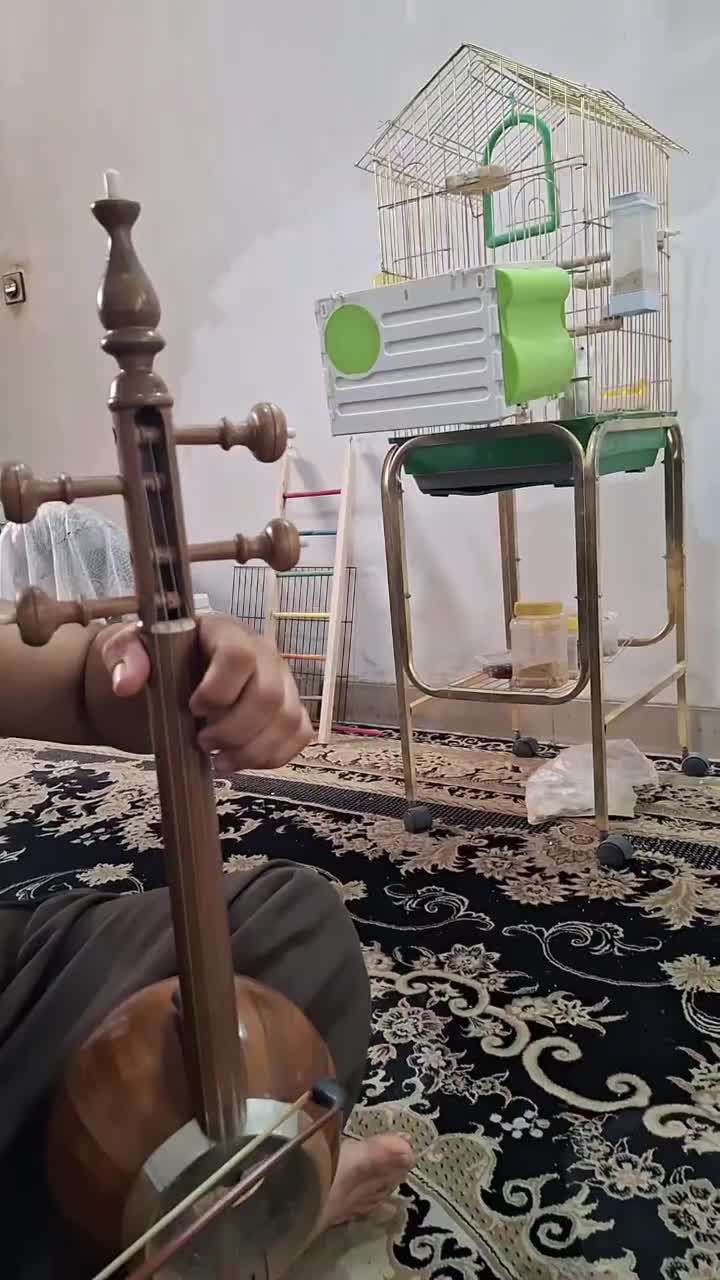 کمانچه|سازهای سنتی|خرم‌آباد, |دیوار