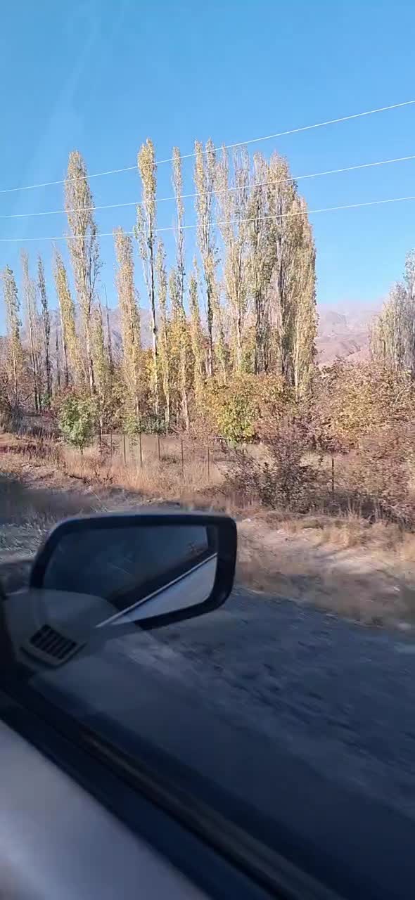 پراید و پژو|خودرو سواری و وانت|خمینی‌شهر, |دیوار