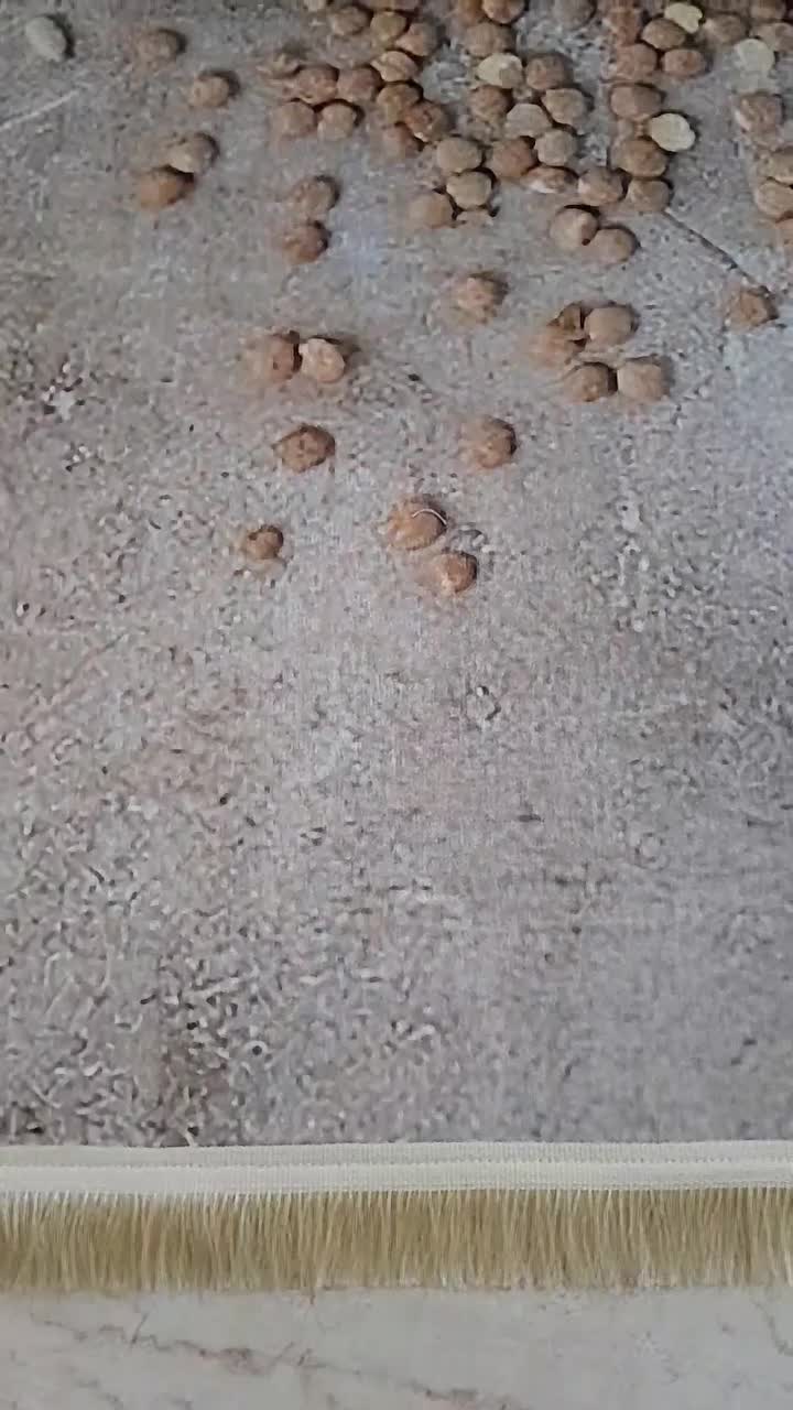 فرش قسطی 12و9و6 متری کناره مدرن آشپزخانه کرم قهوه|فرش|تهران, جمهوری|دیوار