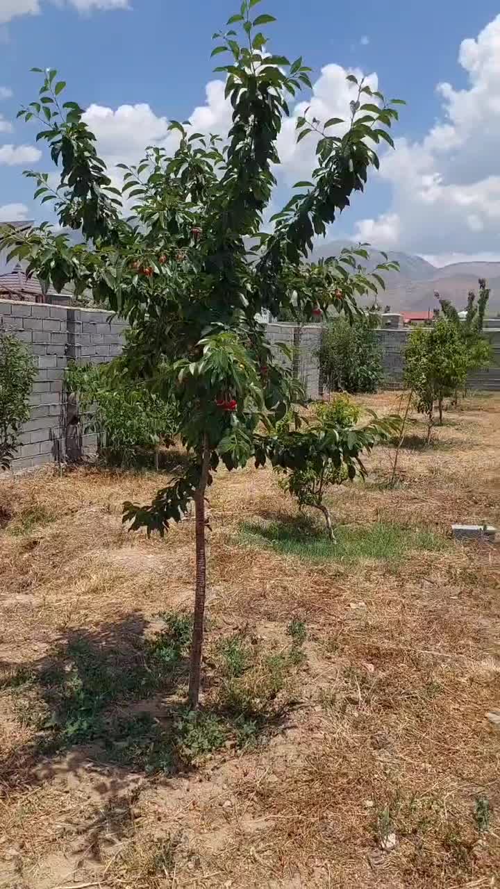 معاوضه با بیل مکانیکی.|فروش زمین و ملک کلنگی|دماوند, دماوند|دیوار