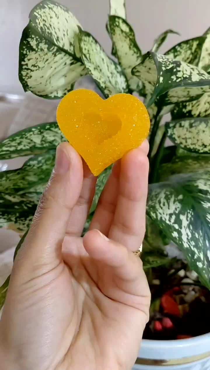 فروش انواع قند و نبات های گیاهی، فانتزی و رژیمی|خوردنی و آشامیدنی|شیراز, فاضل|دیوار