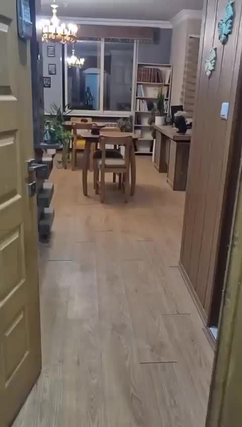 اجاره واحد ۱۸۰متری اداری حاشیه بلوار پیروزی|اجارهٔ دفتر کار، اتاق اداری، مطب|مشهد, چهارچشمه|دیوار