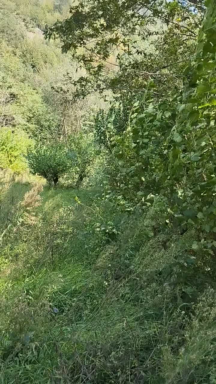 زمین کشاورزی ۸۶۰۰ متری|فروش دفتر صنعتی، کشاورزی، تجاری|اطاقور, |دیوار