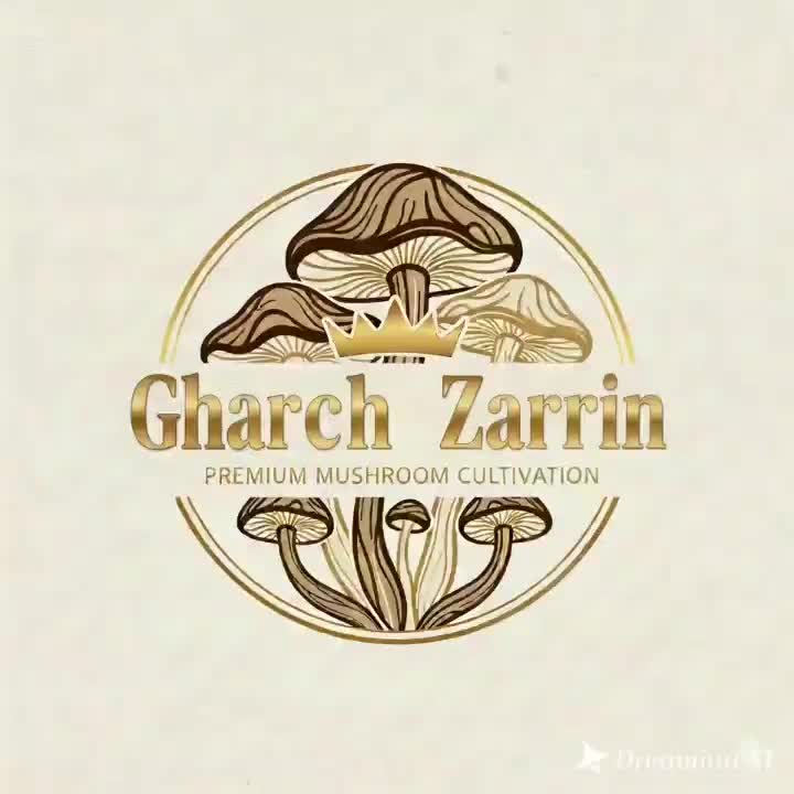 طراح حرفه ای لوگو،لوگو متحرک،پاورپوینت،ترجمه،مقاله|خدمات رایانه‌ای و موبایل|رفسنجان, |دیوار