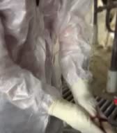 دامپزشک گاو و گوساله|خدمات پیشه و مهارت|اصفهان, احمدآباد|دیوار