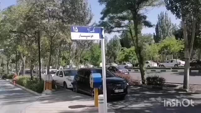 پرده زبرا با کیفیت|پرده، رانر، رومیزی|مشهد, شریف|دیوار