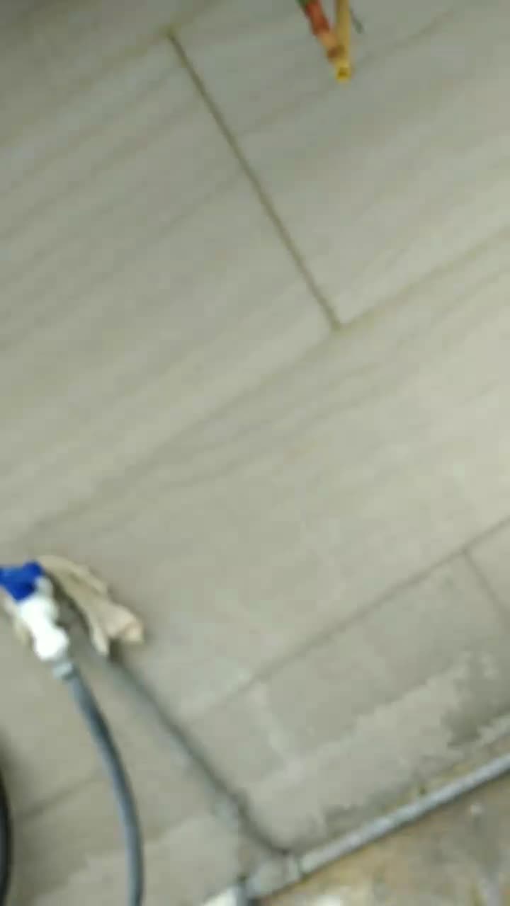 مرغ عشق ماده مست ازاین بازاریها نیست|پرنده|دره شهر, |دیوار