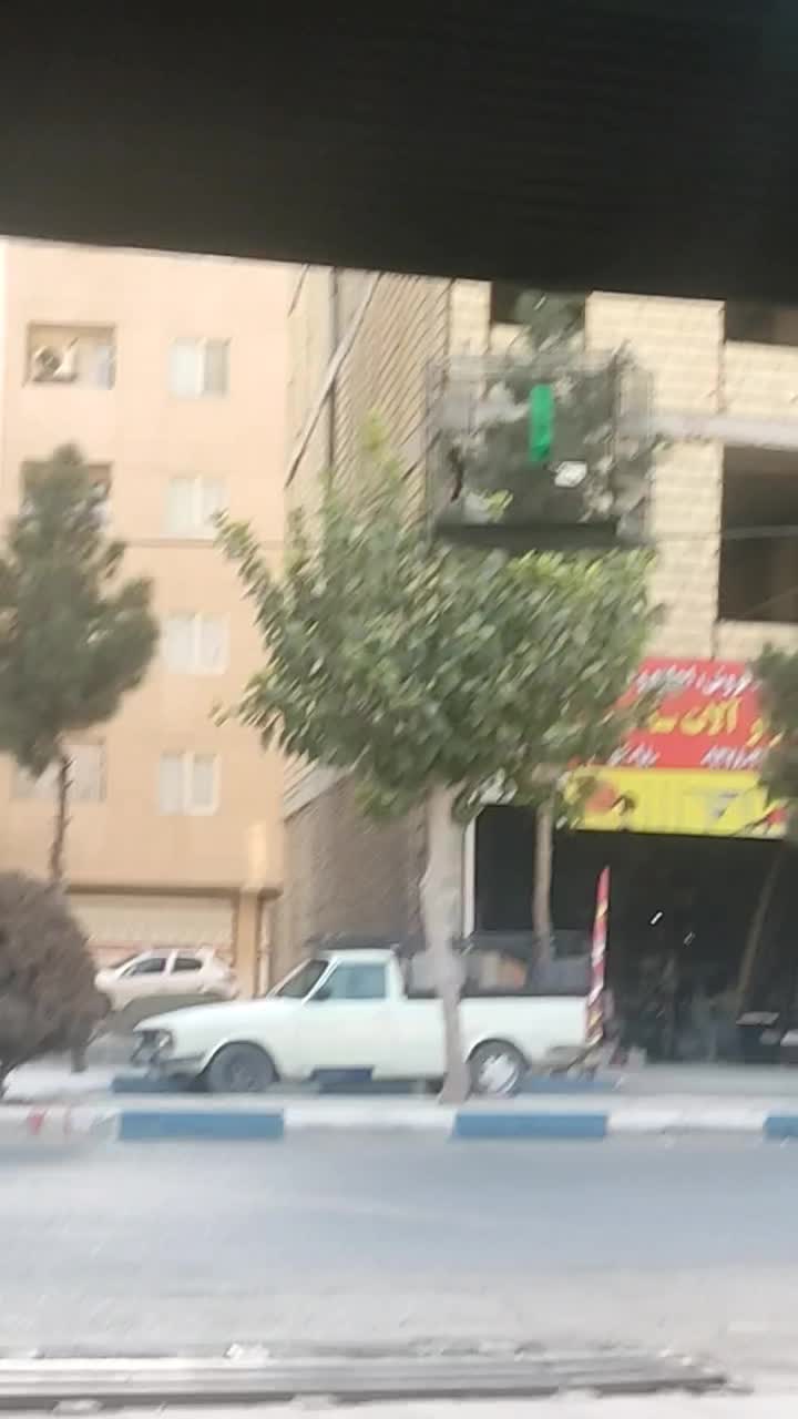 سهره قناری دهن ایوب رحمتی|پرنده|رباط‌کریم, نصیرشهر|دیوار
