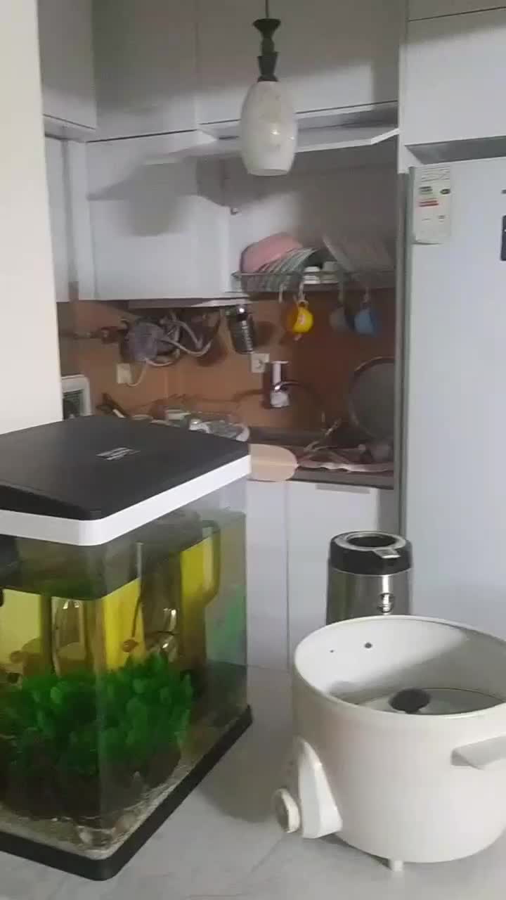 ۷۵مترامیریه۳۱/سندملکی/مجتمع نرگس|فروش آپارتمان|مشهد, الهیه|دیوار