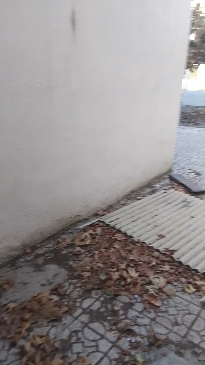 اجاره ی حیاط مغازه دار۲۵۰مترخیابان منتظری|اجارهٔ مغازه و غرفه|خوی, |دیوار