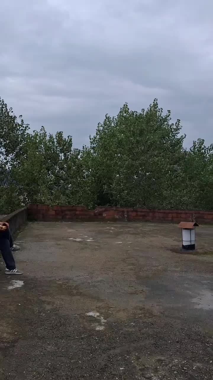 تعدای کبوترزینتی لوکس|پرنده|لاهیجان, یوسف آباد|دیوار