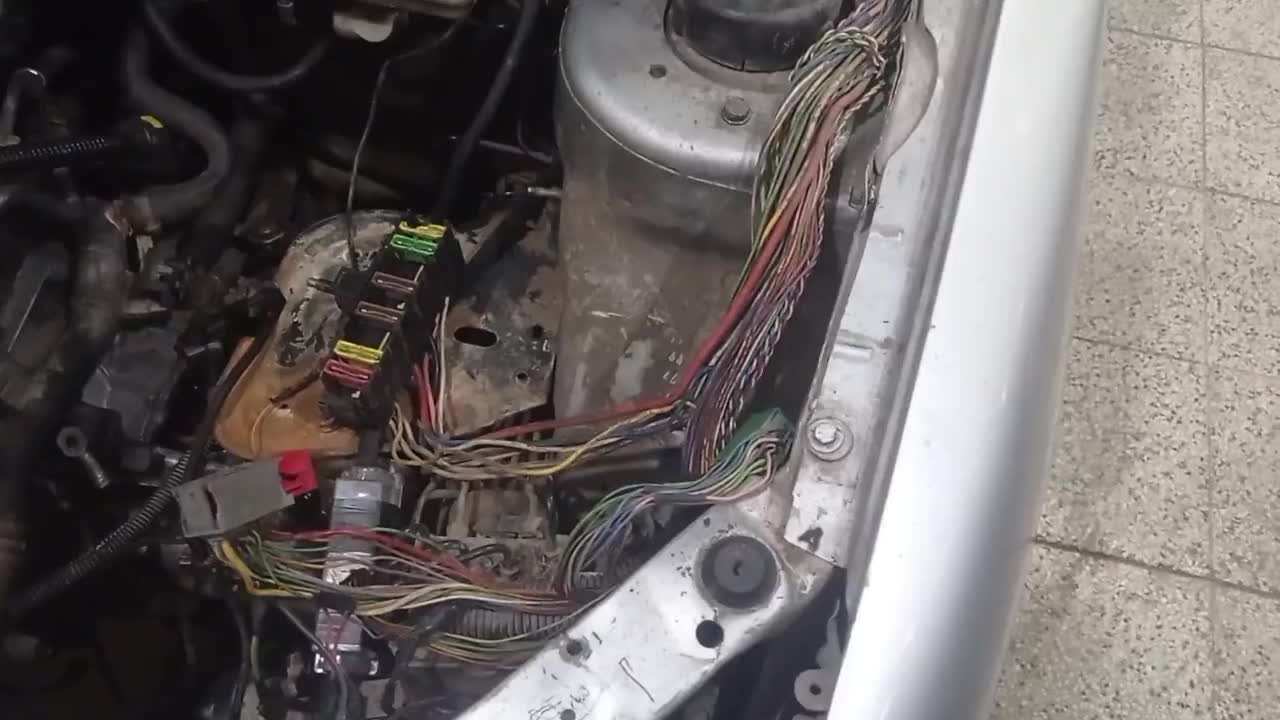 خدمات برق خودرو|خدمات موتور و ماشین|نیشابور, کشتارگاه|دیوار