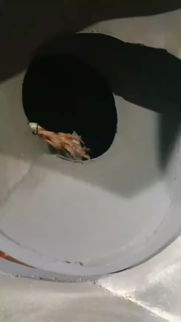 پخش تخمه|عمدهفروشی|مشهد, شهرک شیرین|دیوار