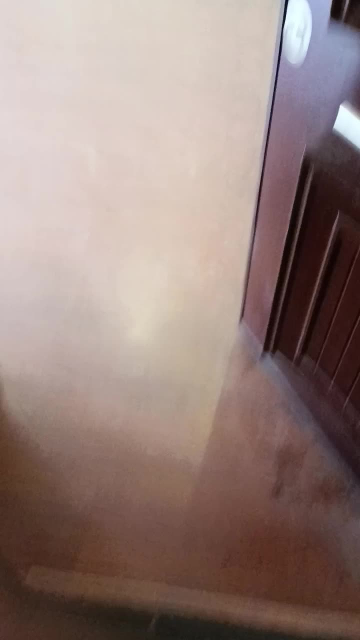 ۱۸۵متر تکواحدی (۲پارکینگ باکس)خیابان۱۵۰|اجارهٔ آپارتمان|تهران, تهرانپارس جنوبی|دیوار