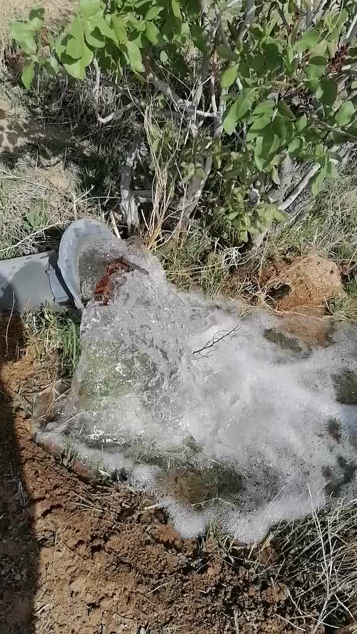 باغ پسته 14 هزارمترمربع|فروش دفتر صنعتی، کشاورزی، تجاری|چاهک, |دیوار