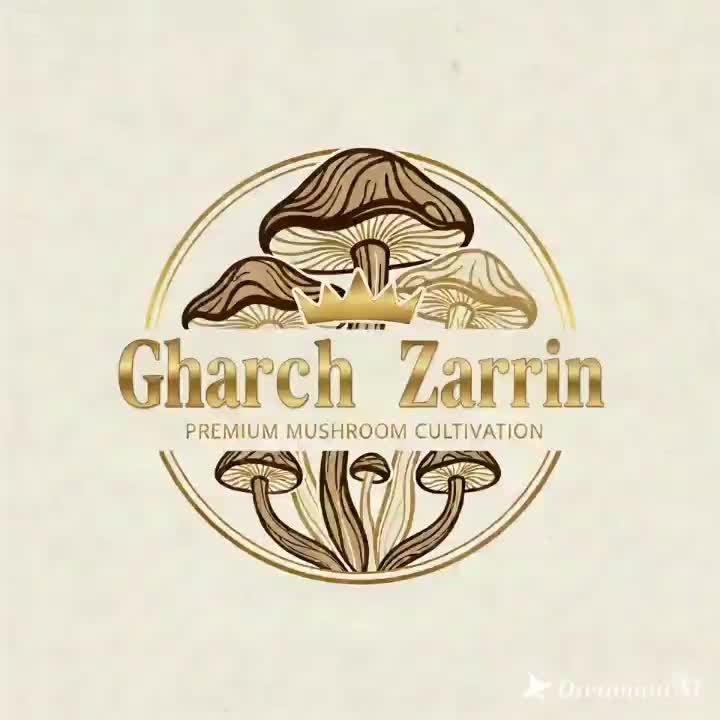 طراح حرفه ای لوگو،لوگو متحرک،پاورپوینت،ترجمه،مقاله|خدمات رایانهای و موبایل|شیراز, لاله|دیوار