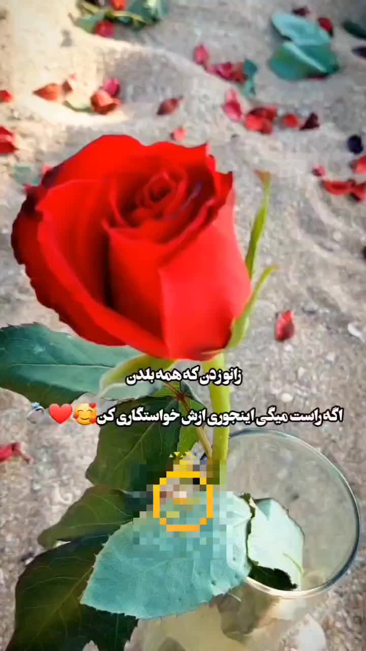 تشریفات،بادکنک آرایی،گل آرایی‌،دکور ساحلی|خدمات پذیرایی، مراسم|بوشهر, |دیوار