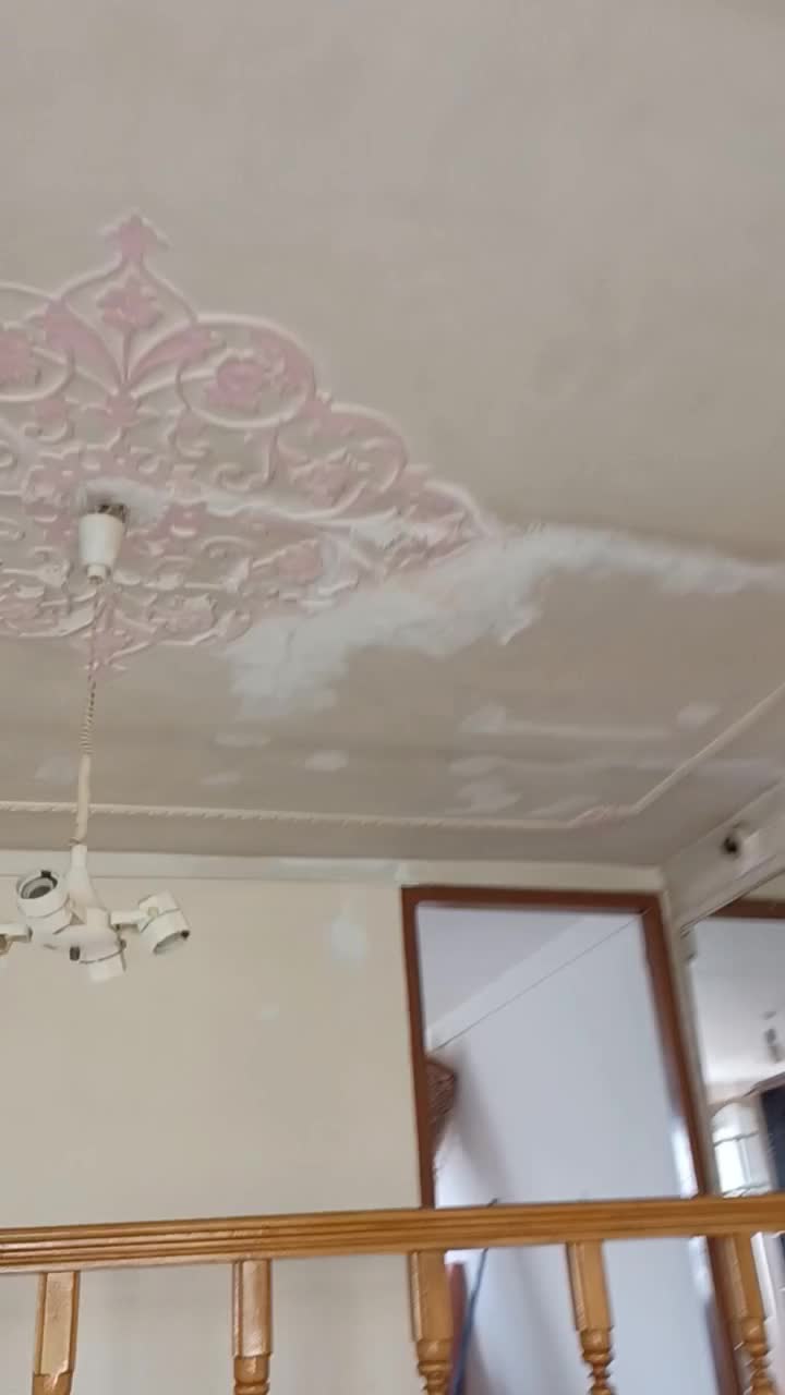 رنگ کاری و نقاشی|خدمات پیشه و مهارت|مراغه, |دیوار