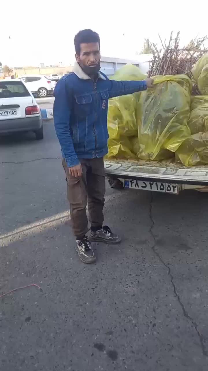 نهال زرشک|خدمات باغبانی و درختکاری|بیرجند, |دیوار