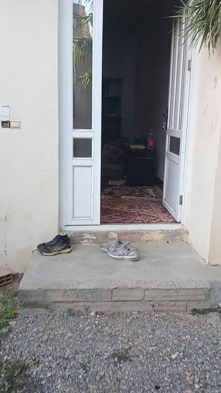 اجاره خونه (همخونه)|اجارهٔ آپارتمان|نکا, |دیوار