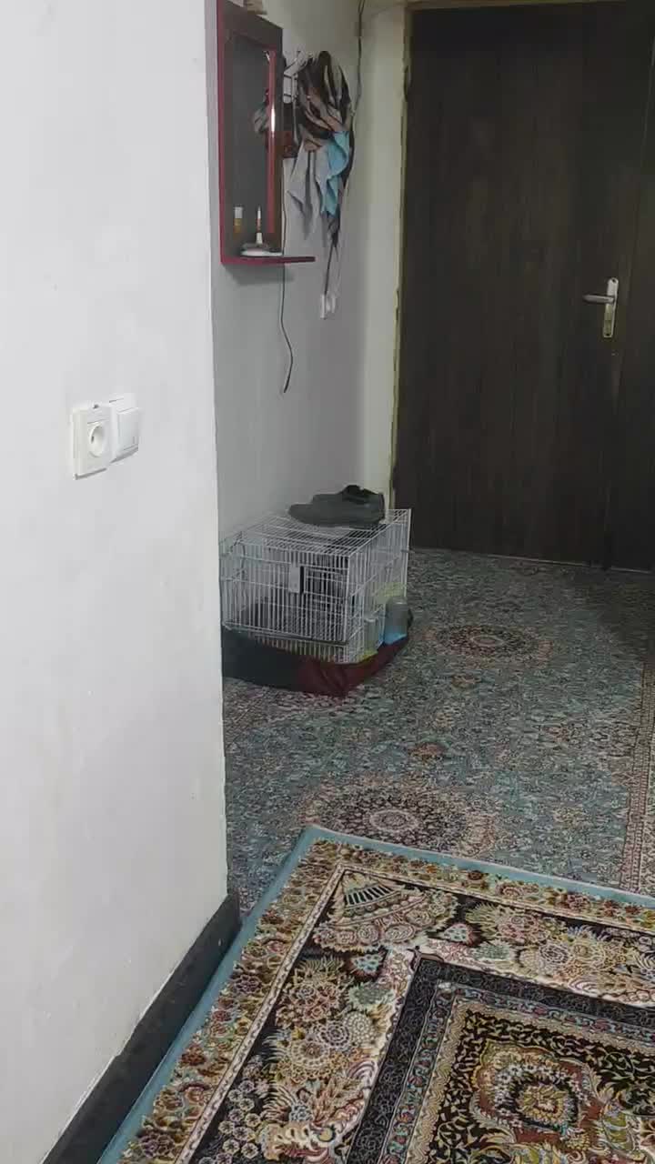 فروش خانه ویلایی ۲۶۰ متری ۲ خوابه|فروش خانه و ویلا|هامون, |دیوار