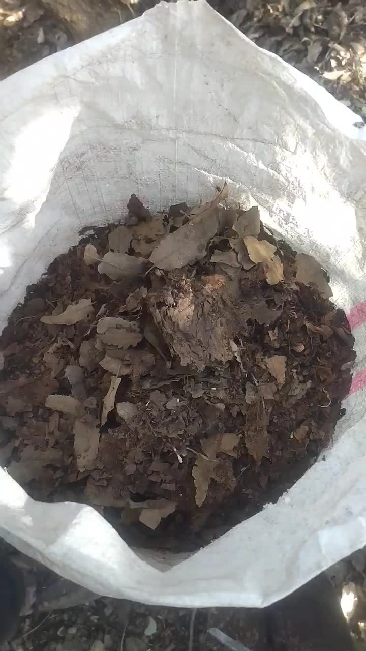 کود خاک برگ بلوط برای گل و گیاه ۳۰کیلو ۳۰۰|گل و گیاه طبیعی|کرمانشاه, |دیوار