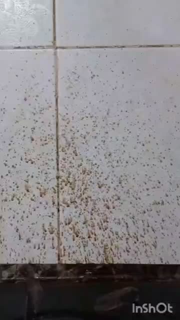 چربی زدا نانو|لوازم نظافت|بهبهان, |دیوار