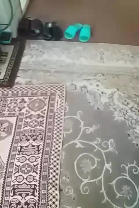 فروش خانه ویلایی  دستنا خ شهدا  خ ورزش خ ولایت|فروش خانه و ویلا|کیار, |دیوار