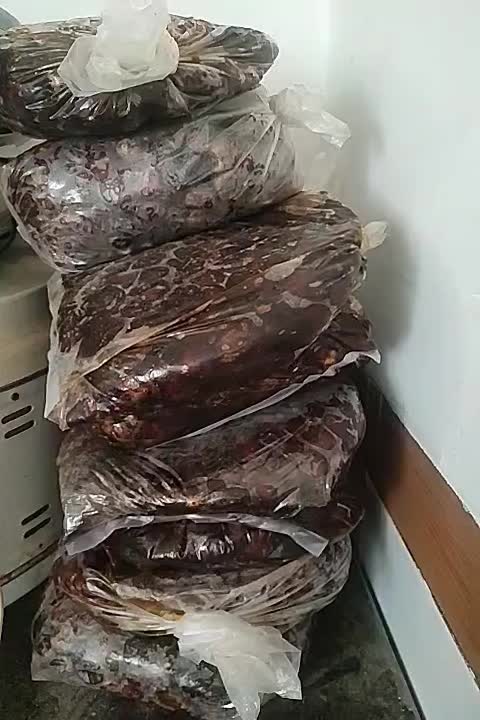 فروش خرمای  مرداسنگ پر شیره|خوردنی و آشامیدنی|جیرفت, |دیوار