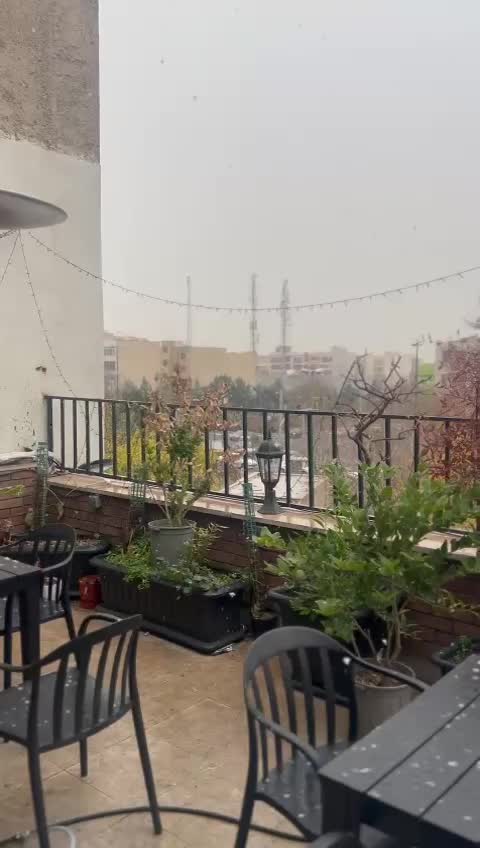 ۲۵۰ متر مستغلات تجاری در بست|اجارهٔ مغازه و غرفه|تهران, سردارجنگل|دیوار