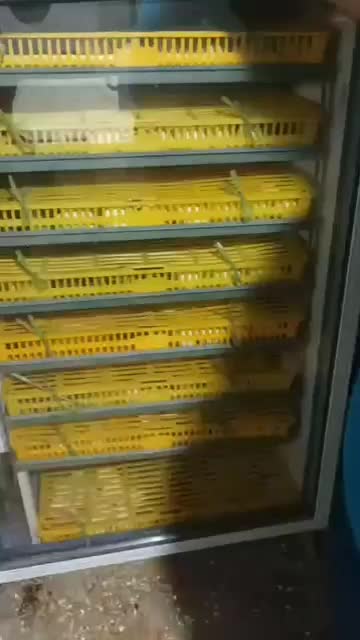 دستگاه جوجه کشی مخصوص اردک و غاز|لوازم جانبی حیوانات|نکا, |دیوار