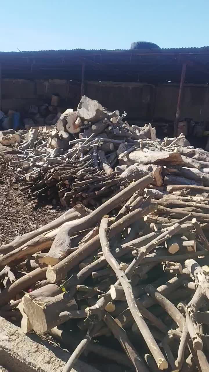 برش و حرص چوب|خدمات باغبانی و درختکاری|بوشهر, |دیوار