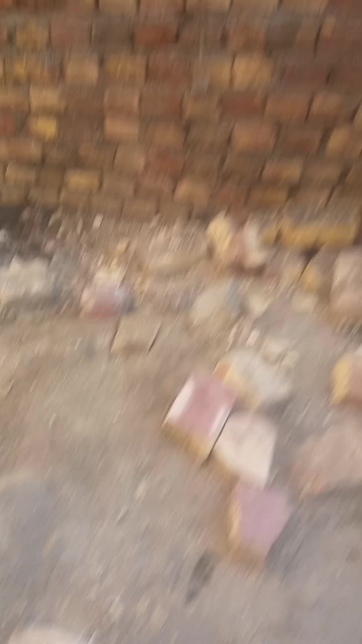 بنای|خدمات پیشه و مهارت|نیمروز, |دیوار