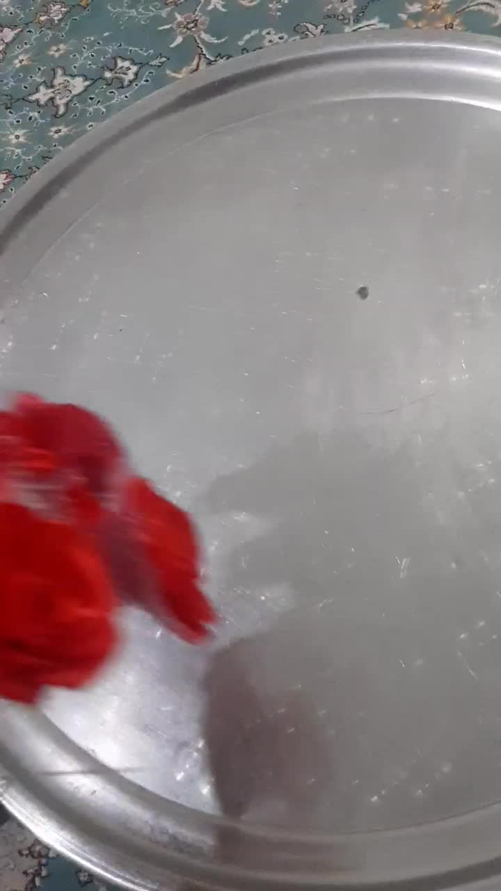 گل کادویی|گل مصنوعی|رباط‌کریم, نصیرشهر|دیوار