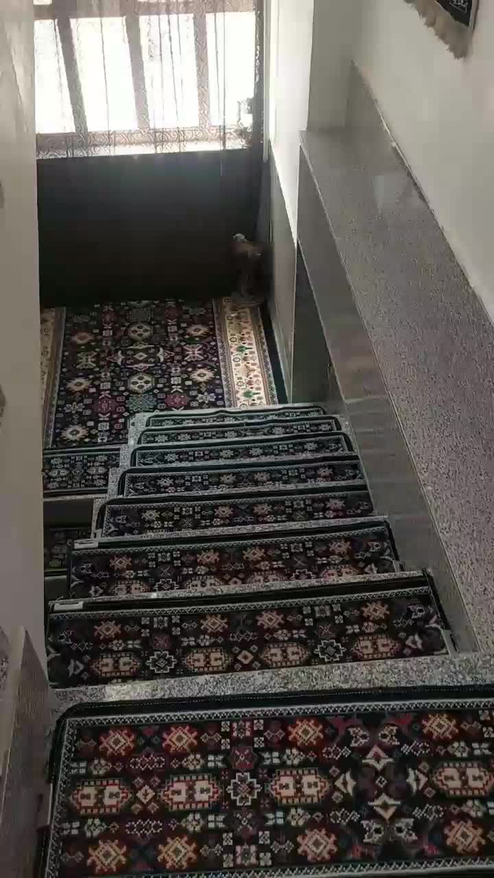 خانه ویلایی دوطبقه شهرک نوکان|فروش خانه و ویلا|کرمانشاه, |دیوار