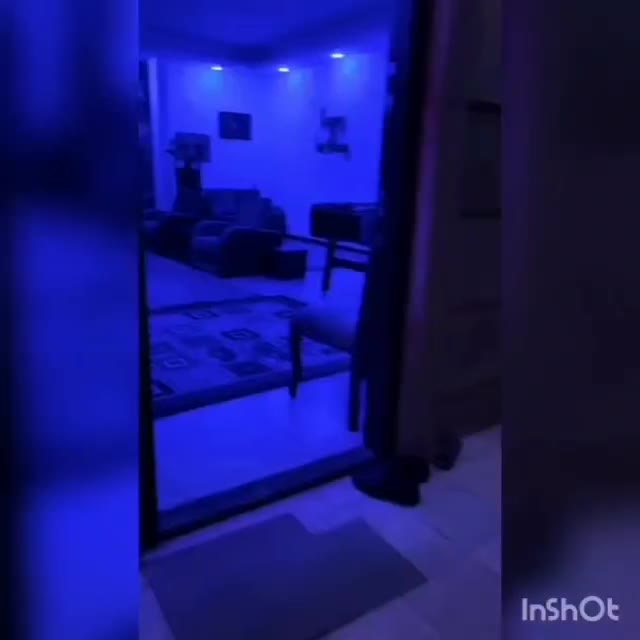 اجاره باغ ویلا استخر سرپوشیده فول تایم|اجارهٔ کوتاه‌مدت ویلا و باغ|تهران, یافت آباد شمالی|دیوار