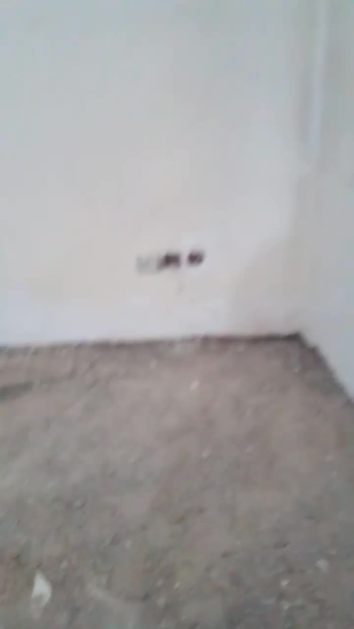 کنده کاری اوپن کف گودبرداری|خدمات پیشه و مهارت|اردبیل, |دیوار