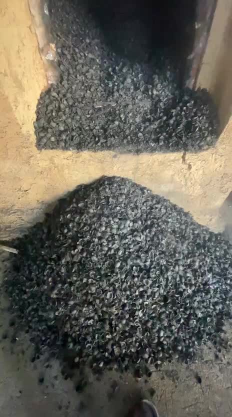 فروش زغال کبابی باغی و فروش کربن پسته خرید چوب|عمدهفروشی|سامان, |دیوار