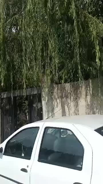 باغچه‌ی زیبا درختان بزرگ و خوش بار با حق آب|فروش زمین و ملک کلنگی|هشتگرد, هشتگرد قدیم|دیوار