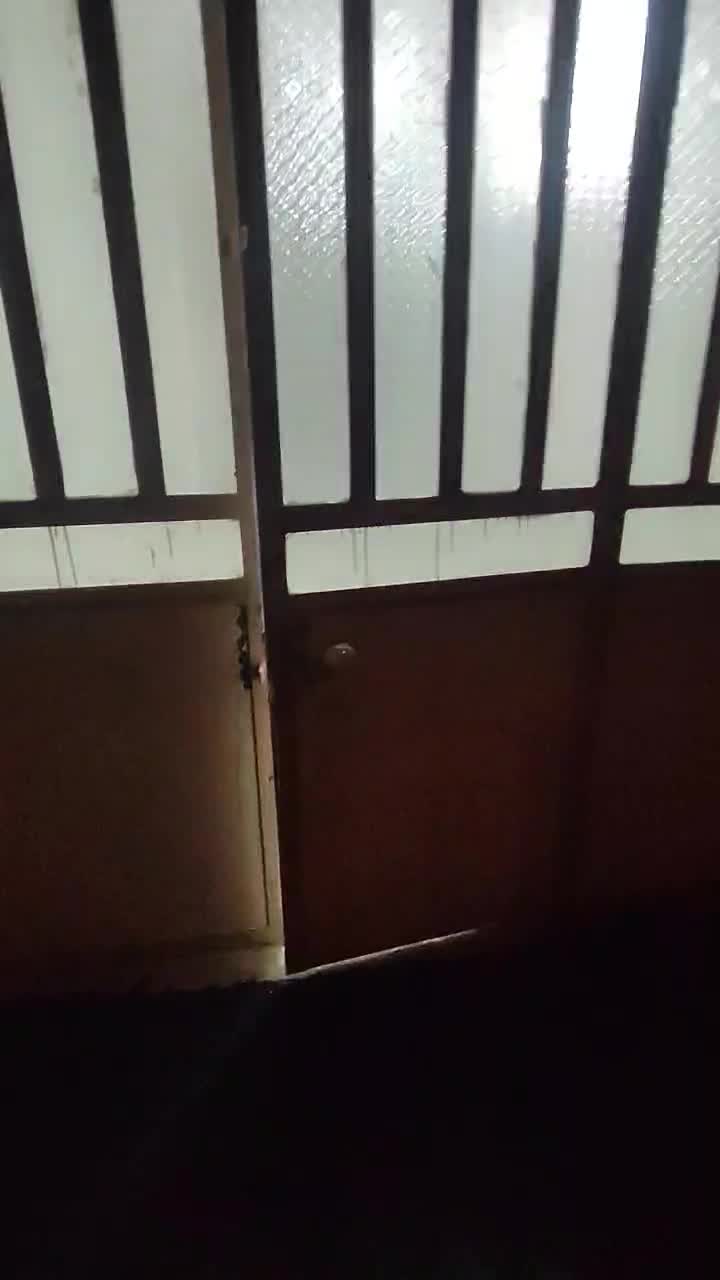 سویت در مرکز شهر تمیز و نوساز|اجارهٔ آپارتمان|شیراز, شیشهگری|دیوار