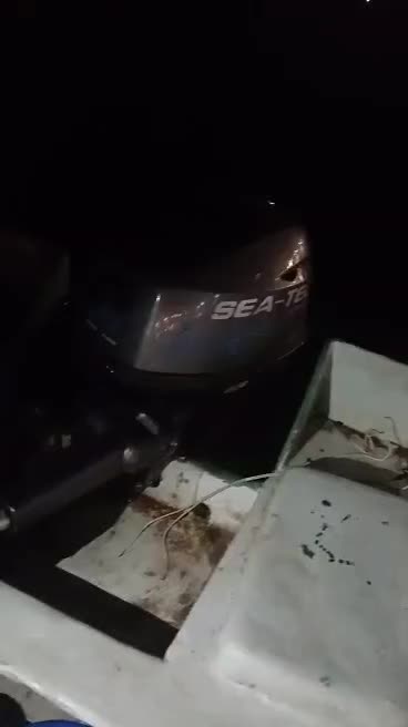 موتور چهارزمانه ۲۰۲۲نو|قایق و سایر وسایل نقلیه|کیش, |دیوار