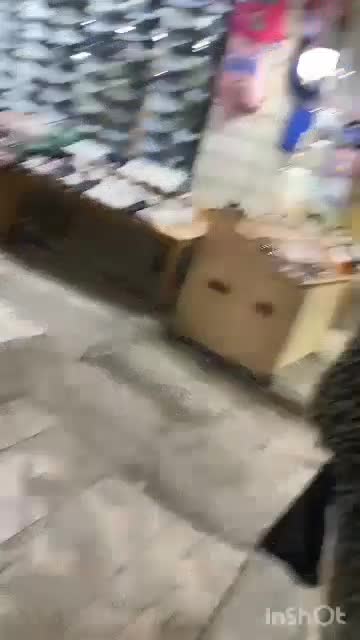 فروش مغازه بازار کانال|فروش مغازه و غرفه|میناب, |دیوار