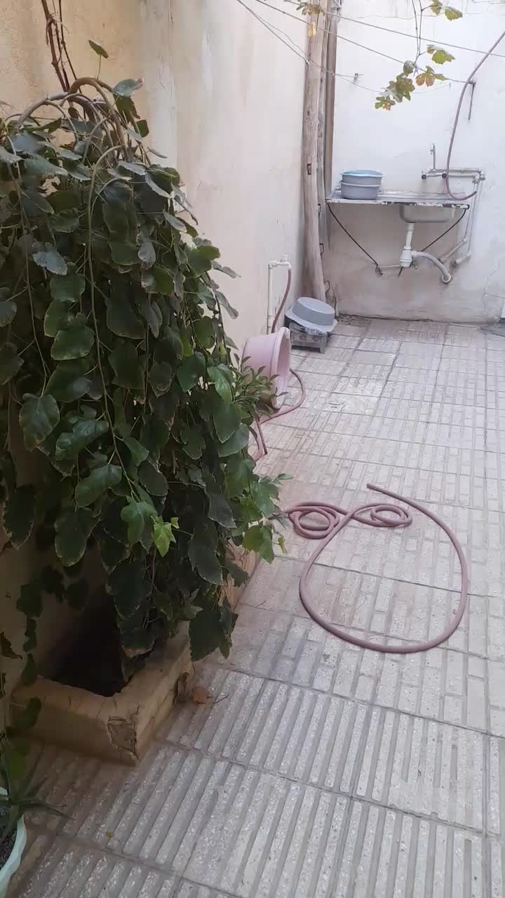 خونه ۷۰ متری ویلایی در ۷۵ متری عمار یاسر|فروش خانه و ویلا|قم, رضویه|دیوار