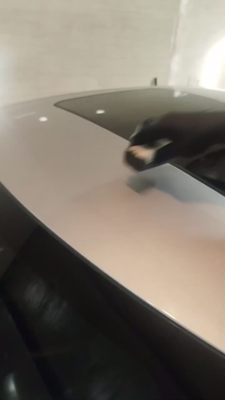 واکس پولیش ـ نانو سرامیک ـ لیسه گیری ـ ایربراش|خدمات موتور و ماشین|کرمان, |دیوار