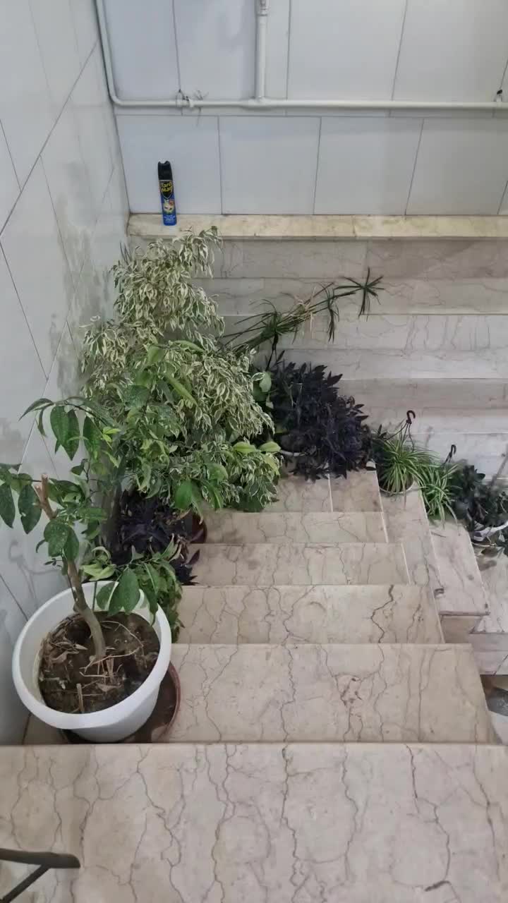 خانه مسکونی|فروش خانه و ویلا|اصفهان, پینارت|دیوار