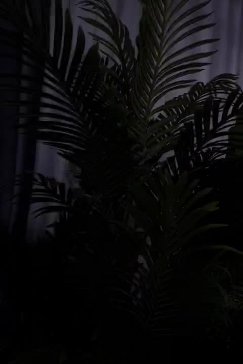 درختچه مصنوعی و گلهای فومی وارداتی و استند۵طبقه چو|گل مصنوعی|دوگنبدان, |دیوار