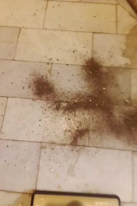 جاروبرقی شارژی بوش المان|جاروبرقی، جارو شارژی، بخارشو|تهران, حافظیه|دیوار
